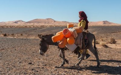 The Tuaregs people or tuareg tribe are Berber nomads from the Sahara
