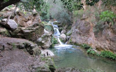 Akchour. Waterfalls and God’s Bridge