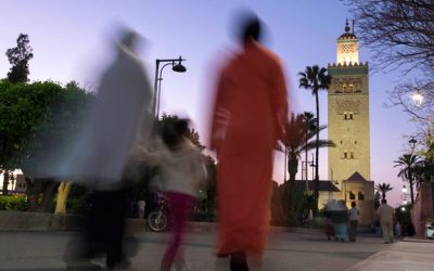 What to do in Marrakech. What is there to do in Marrakech