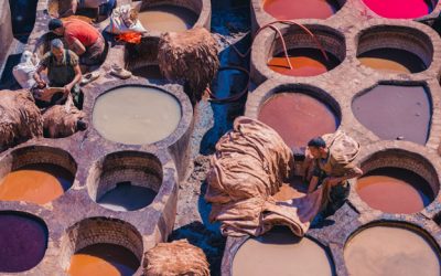 Fez tannery in Morocco. Tannerie chouara in Fes