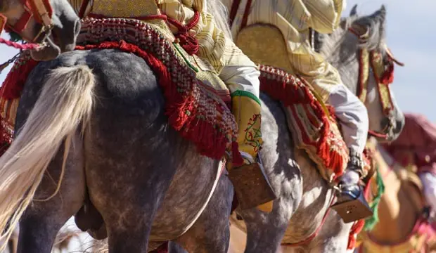 Events in Morocco. Morocco festivals calendar Events in Morocco. Morocco festivals calendar