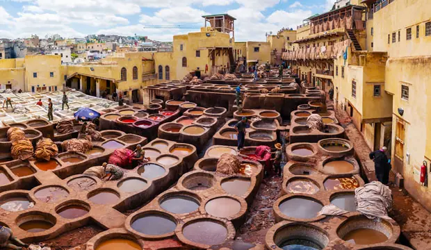 Fes, what to see? In the tanneries you will feel that you have traveled to another world